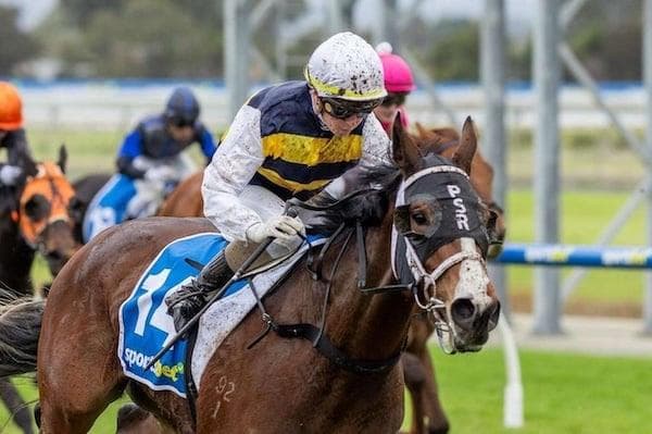 Stoked! SA Derby Day