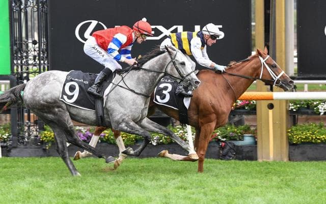 Deakin to Bypass Sydney Cup, Set for Spring Staying Features