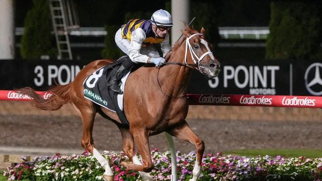 Stokes in strong position for third Adelaide Cup