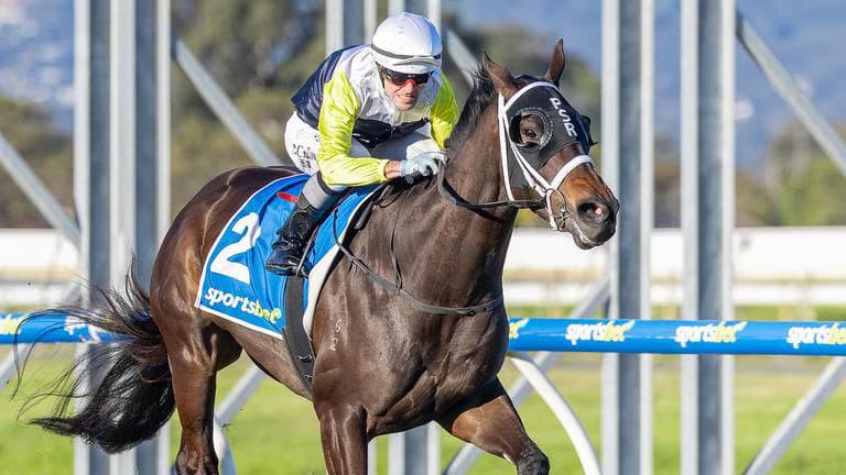 Phillip and Tommy Stokes partnership strikes early with Bold Secret as Noel Callow returns a winner in South Australia